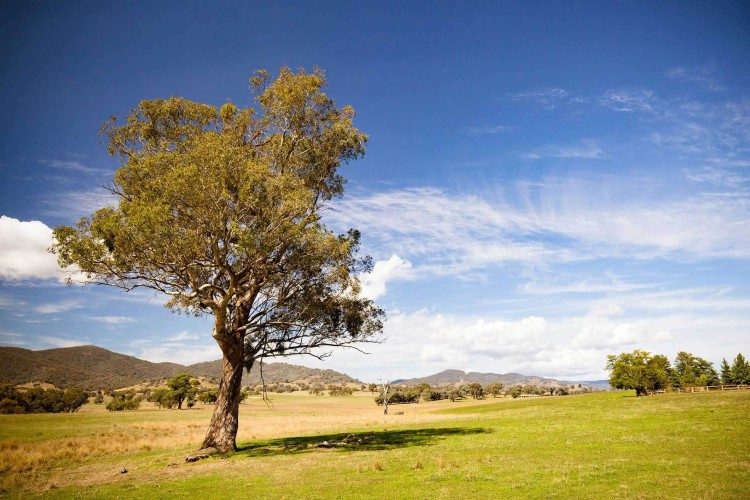 Go anywhere like Graham & Elaine in their Blue Sky Radiance